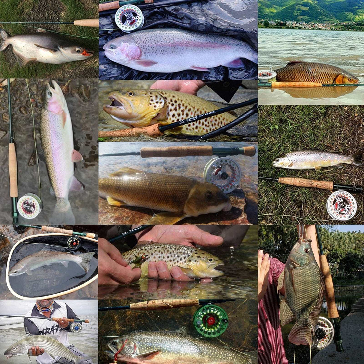 3-8WT Fly Fishing Rod And Reel Combo Set marine BushLine