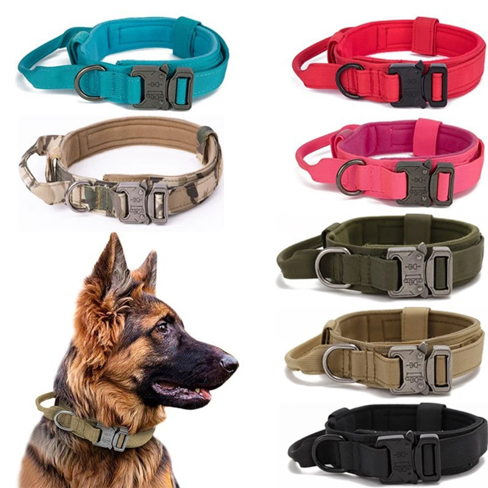 Dog Collar Leash & Leash Set Dog Stuff BushLine
