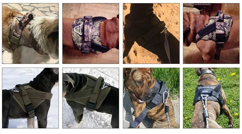 Military-Grade Tactical Dog Harness Dog Stuff