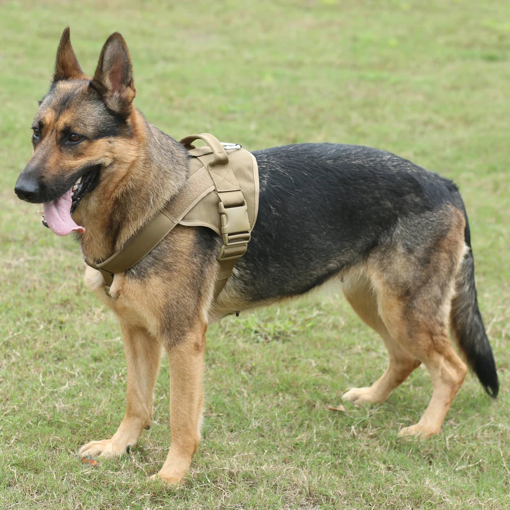 Military-Grade Tactical Dog Harness Dog Stuff