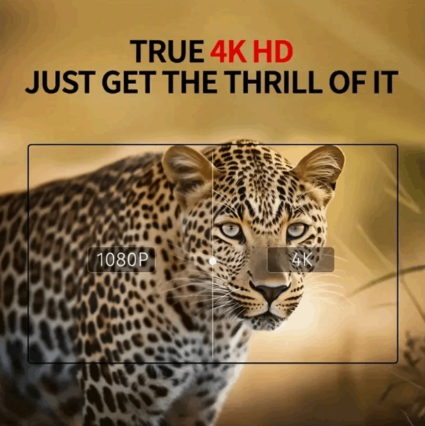 NV8300 Head-mounted 4K Night Vision Goggles Night Vision BushLine