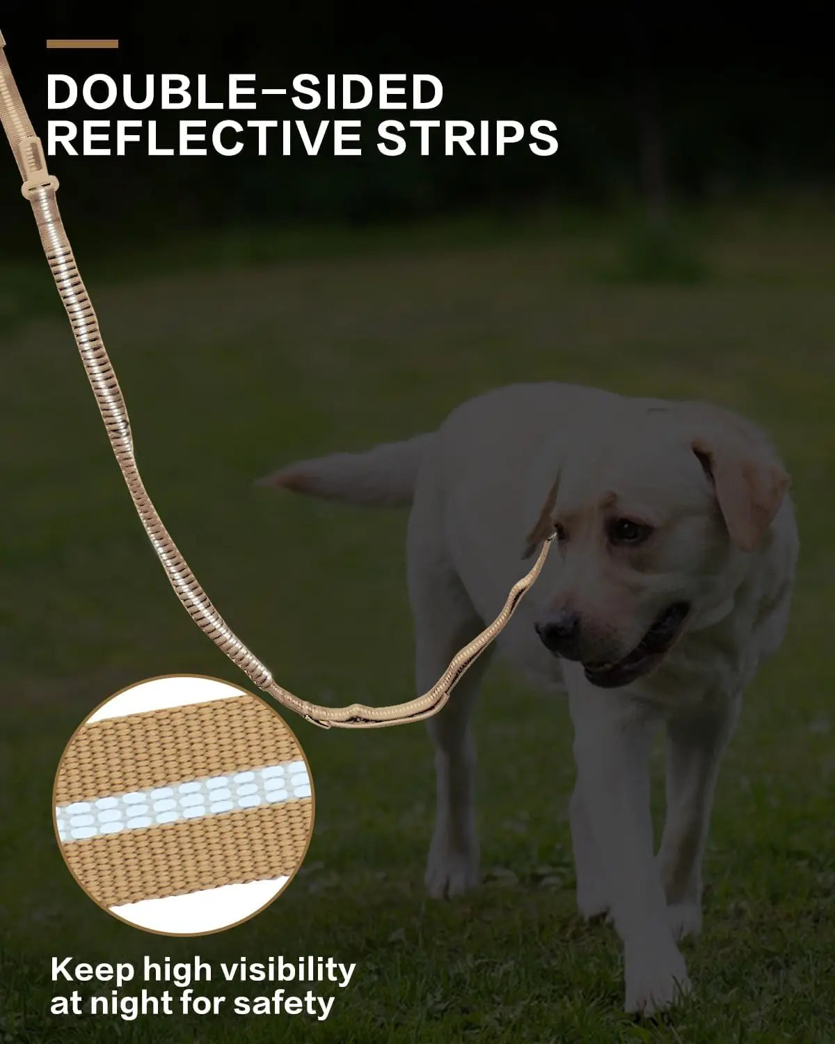 Reflective Shock Absorbing  Dog Leash Seatbelt Buckle Dog Stuff  BushLine