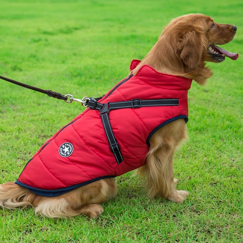 Waterproof Warm Dog Jacket Vest Dog Stuff BushLine Red S