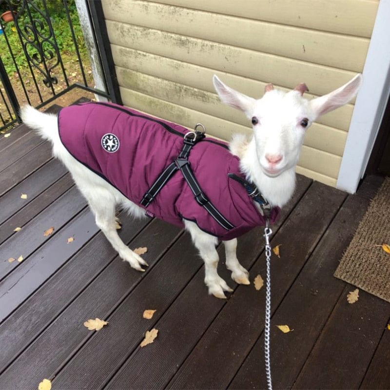 Waterproof Warm Dog Jacket Vest Dog Stuff BushLine