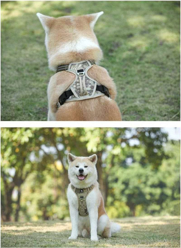 Dog Harness Adjustable Large & Medium Dog Stuff BushLine   