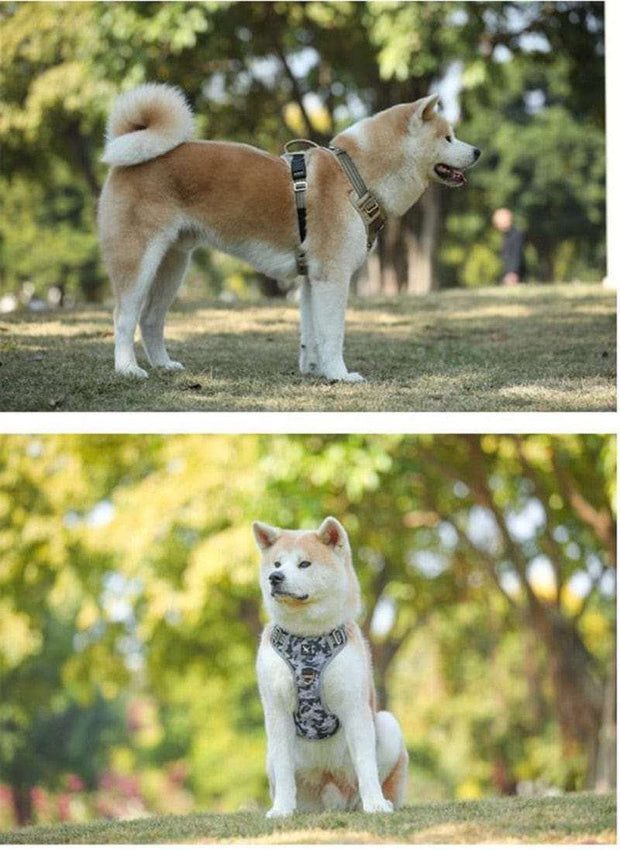 Dog Harness Adjustable Large & Medium Dog Stuff BushLine   
