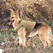Dog Harness Collar Leash Combo No Pull Dog Stuff BushLine   