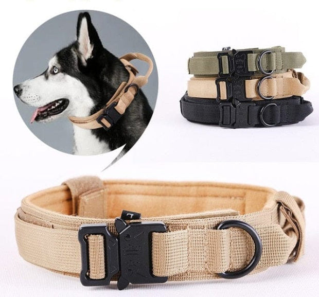 Adjustable Tactical Dog Collar Dog Stuff BushLine   
