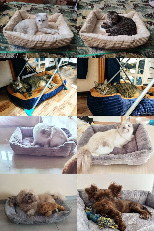 Dog Cat Pets Luxurious Bed 4 sizes Dog Stuff BushLine   