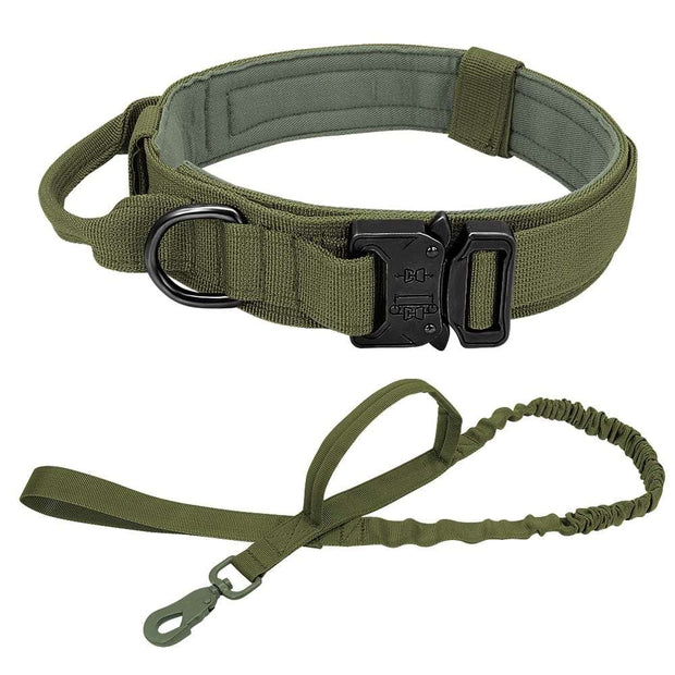 Dog Harness Collar Leash Combo No Pull Dog Stuff BushLine Green Collar & Leash M 