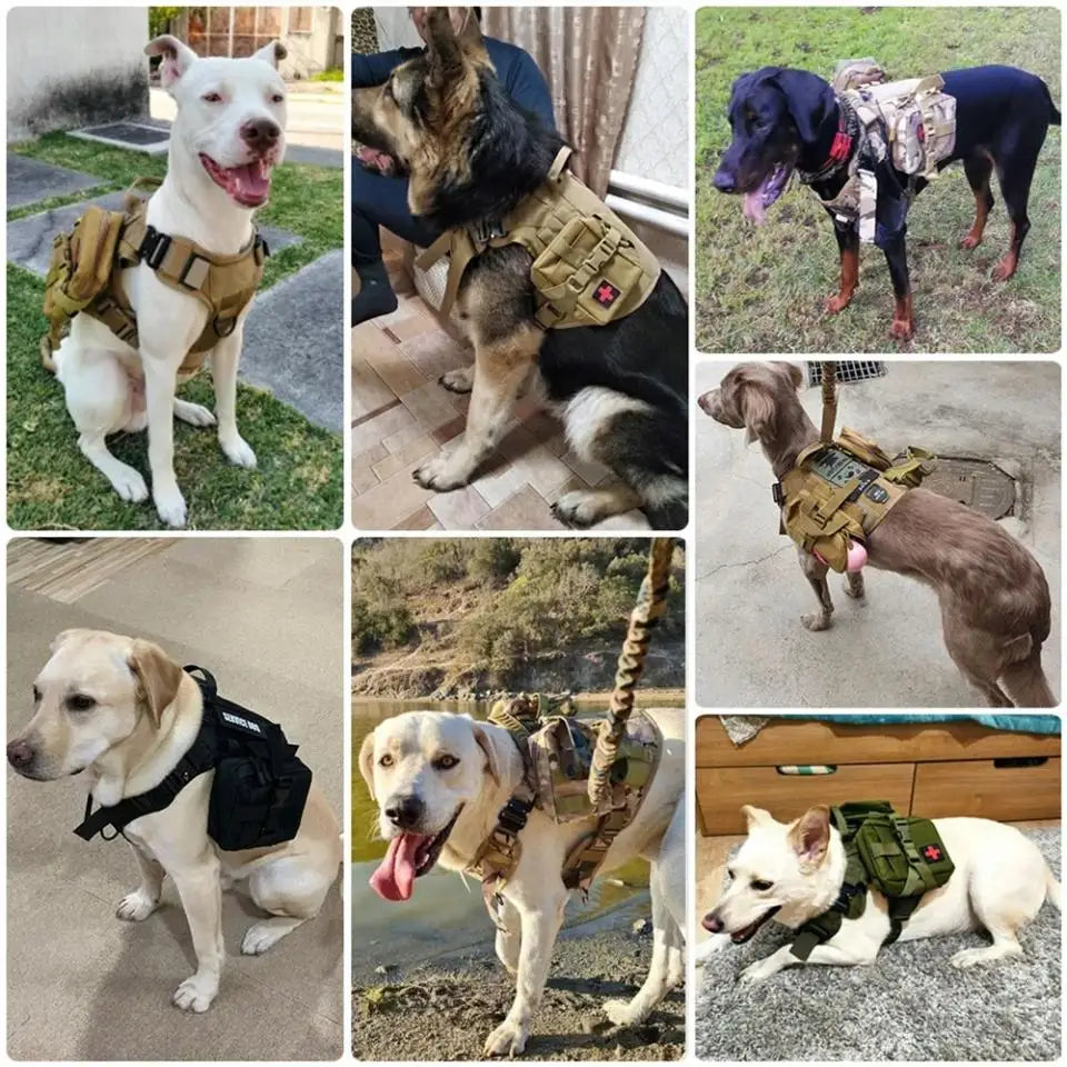 Nine owner photographs of dogs wearing the harness in tan, black and camo