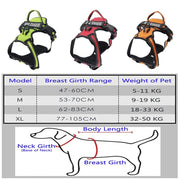 New Dog Vest Harness Leash Reflective 2023 Dog Stuff BushLine Pink S 