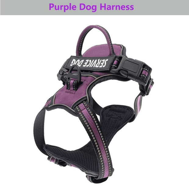 New Dog Vest Harness Leash Reflective 2023 Dog Stuff BushLine Purple S 