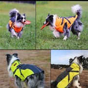 High Quality Winter Dog Coat Jacket With Harness Dog Stuff BushLine   