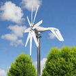 1000W Horizontal Wind Turbine Wind Power BushLine 12V Wind Turbine Only
