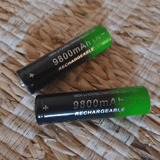 18650 battery 3.7V 9900mAh rechargeable lithium-ion Batteries  BushLine
