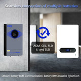 4.2kW 6.2kW Hybrid Solar Inverter 24V 48V  Lightning Protection Wind & Solar Controllers  BushLine