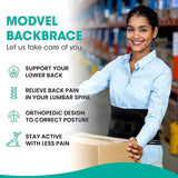 Back Brace for Lower Back Pain Lumbar Support Hi-Vis & Safety  BushLine