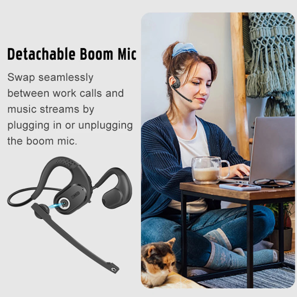 Bluetooth 5.3 Earphones Removable Mic phone stuff  BushLine
