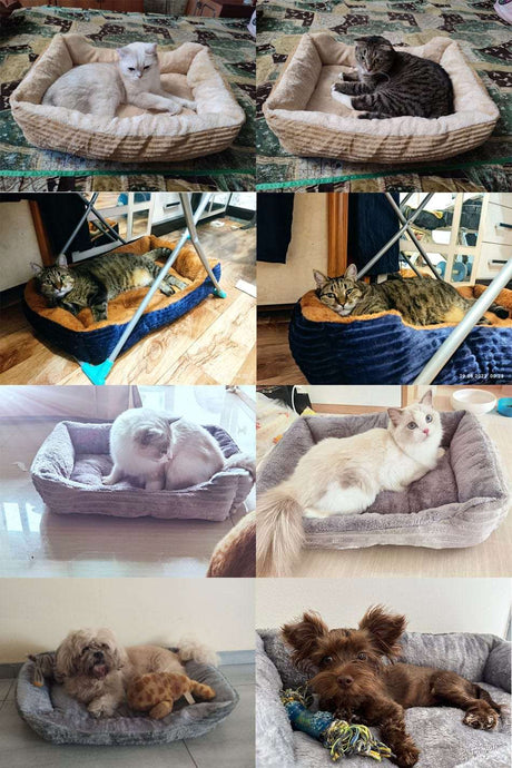 Dog Cat Pets Luxurious Bed 4 sizes Dog Stuff  BushLine