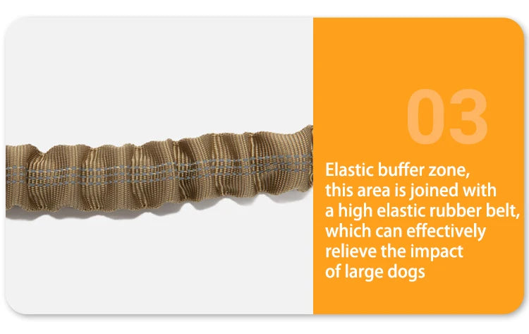 Dog Collar Leash  & Leash  Set Dog Stuff  