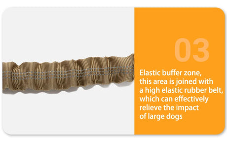 Dog Collar Leash  & Leash  Set Dog Stuff  