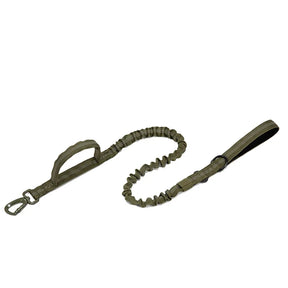 Dog Collar Leash  & Leash  Set Dog Stuff  