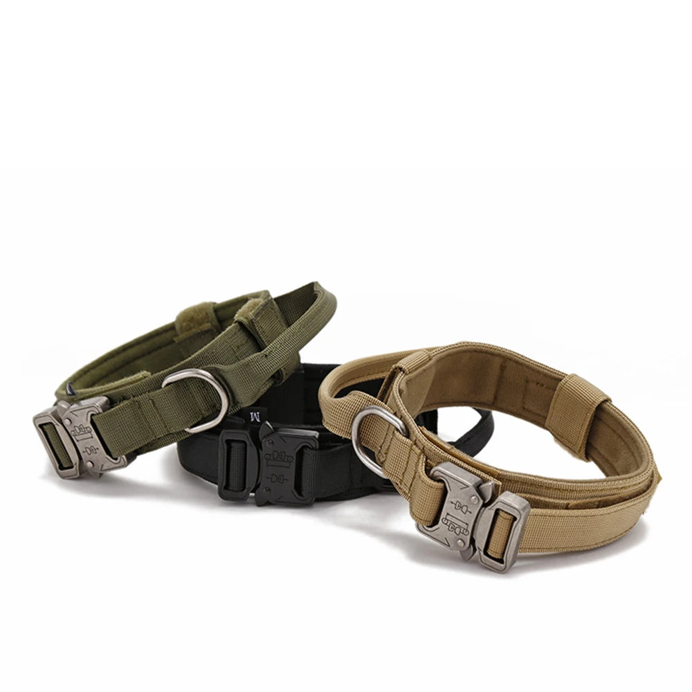 Dog Collar Leash  & Leash  Set Dog Stuff  BushLine