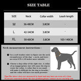 Dog Collar Leash  & Leash  Set Dog Stuff  BushLine
