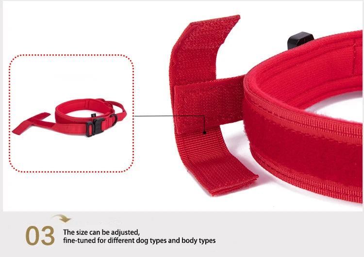 Dog Collar Leash  & Leash  Set Dog Stuff  BushLine