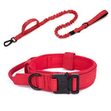 Dog Collar Leash  & Leash  Set Dog Stuff  BushLine