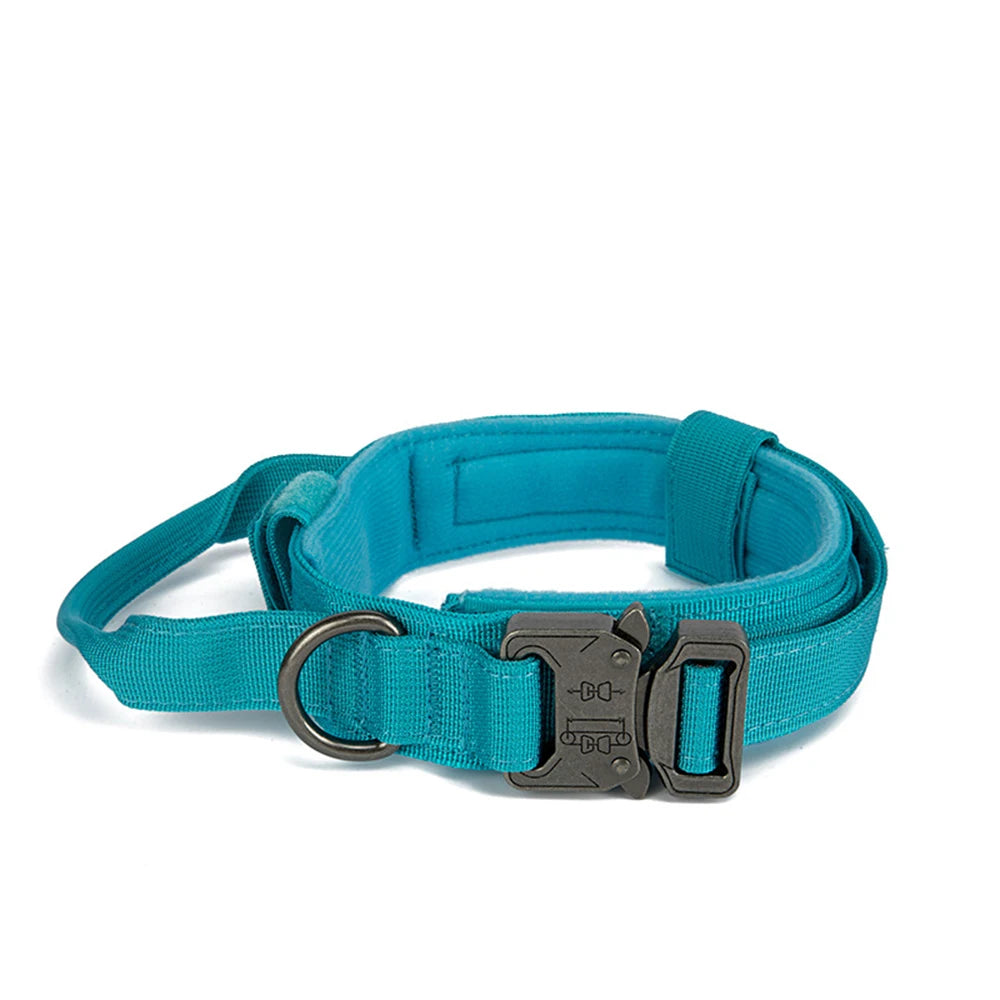 Dog Collar Leash  & Leash  Set Dog Stuff  BushLine