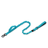 Dog Collar Leash  & Leash  Set Dog Stuff  BushLine