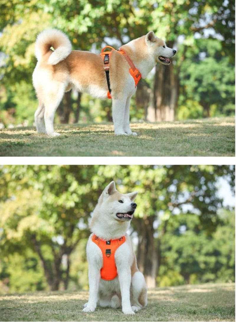 Dog Harness Adjustable Large & Medium Dog Stuff  