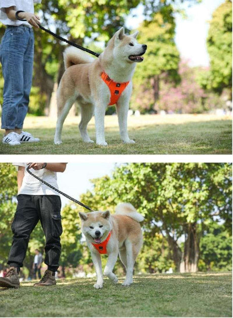 Dog Harness Adjustable Large & Medium Dog Stuff  