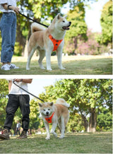 Dog Harness Adjustable Large & Medium Dog Stuff  BushLine