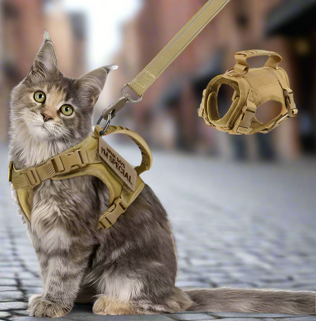 Dog Harness Leash Set for Small Dogs & Cats Dog Stuff  