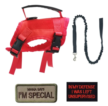 Dog Harness Leash Set for Small Dogs & Cats Dog Stuff BushLine Red with Leash