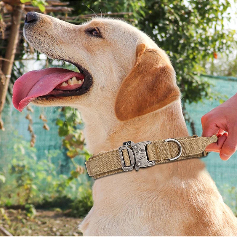 Dog Collar Leash & Leash Set Dog Stuff BushLine