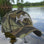 Fish Bone Camo Fishing Caps Cotton Jungle Hat Unisex caps  