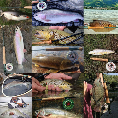 Fly Fishing Rod And Reel Combo Set marine  