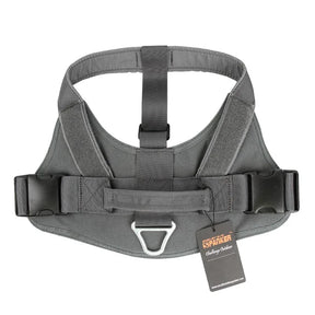 Grey harness front-on and flat, showing both buckles and the padded chest panel