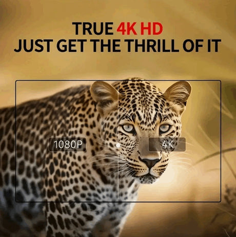 NV8300 Head-mounted 4K Night Vision Goggles Night Vision  