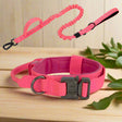 Dog Collar Leash & Leash Set Dog Stuff BushLine Pink Set M (36-48CM)