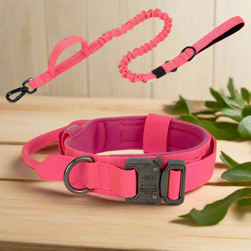 Dog Collar Leash & Leash Set Dog Stuff BushLine Pink Set M (36-48CM)