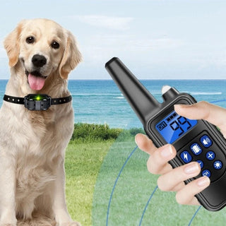 Rechargeable Dog Training & Anti-Bark Collar 800m Dog Stuff  