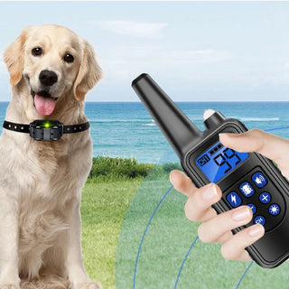 Rechargeable Dog Training & Anti-Bark Collar 800m Dog Stuff  
