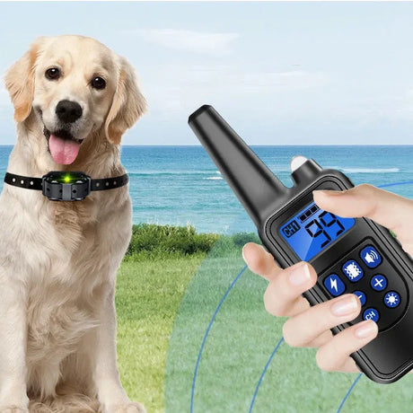 Rechargeable Dog Training & Anti-Bark Collar 800m Dog Stuff  