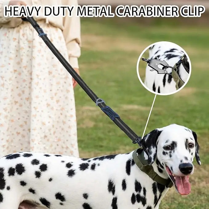 Reflective Shock Absorbing  Dog Leash Seatbelt Buckle Dog Stuff  BushLine