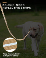 Reflective Shock Absorbing  Dog Leash Seatbelt Buckle Dog Stuff  BushLine